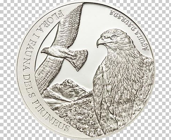 Proof Coinage Numismatics American Silver Eagle Uncirculated Coin PNG, Clipart, American Silver Eagle, Bird, Bird Of Prey, Coin, Currency Free PNG Download