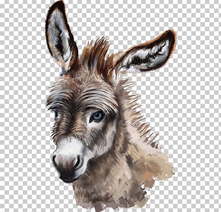 Donkey Stock Photography Drawing PNG, Clipart, Animals, Digital Painting, Donkey, Donkey Milk, Drawing Free PNG Download