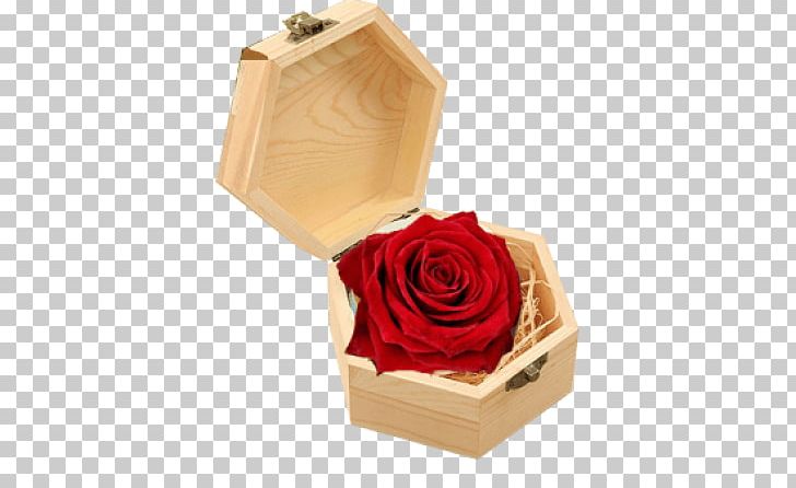 Gift Valentine's Day Rose Vietnam Floristry PNG, Clipart,  Free PNG Download