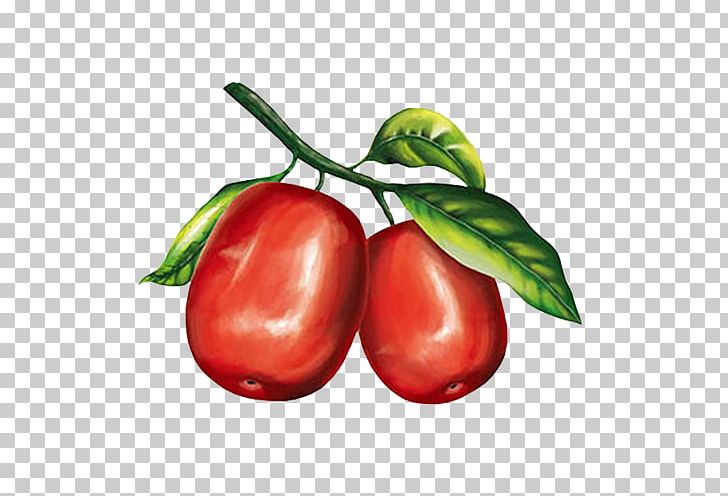 Jujube Cartoon Watercolor Painting PNG, Clipart, Cherry, Chili Pepper, Dating, Encapsulated Postscript, Food Free PNG Download