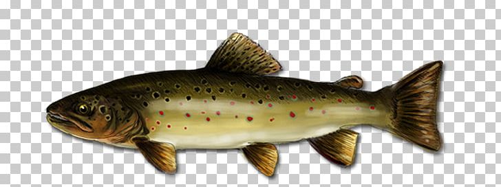 Salmon Cutthroat Trout Fish Products 09777 PNG, Clipart, 09777, Animal, Animal Figure, Bony Fish, Brown Trout Free PNG Download