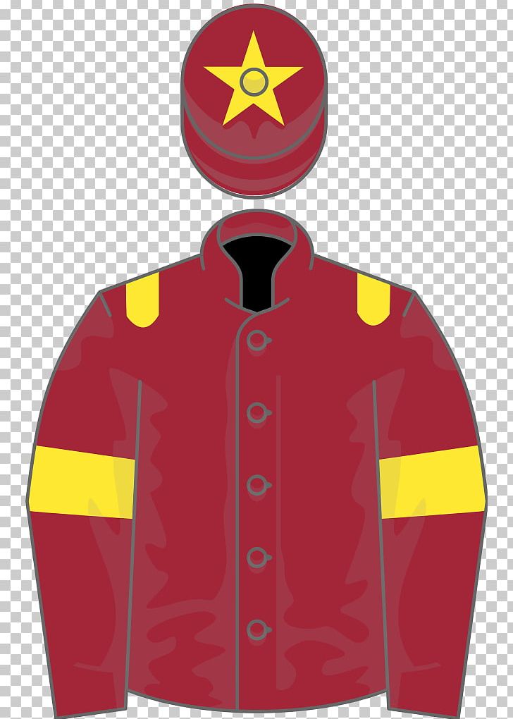 Thoroughbred Horse Racing 2018 Grand National 2016 Grand National PNG, Clipart, 2016 Grand National, 2018 Grand National, Bay, Grand National, Hood Free PNG Download