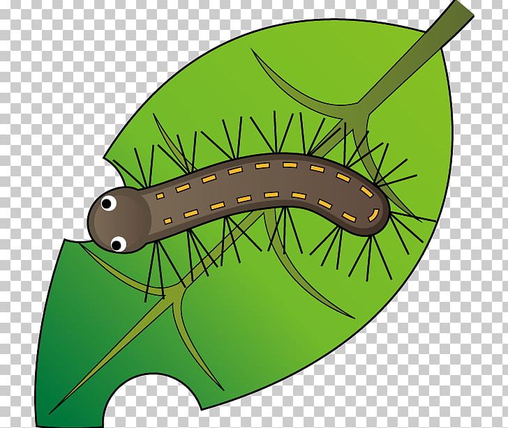 Caterpillar Worm Butterfly PNG, Clipart, Animals, Butterflies And Moths, Butterfly, Caterpillar, Elder Brother Free PNG Download