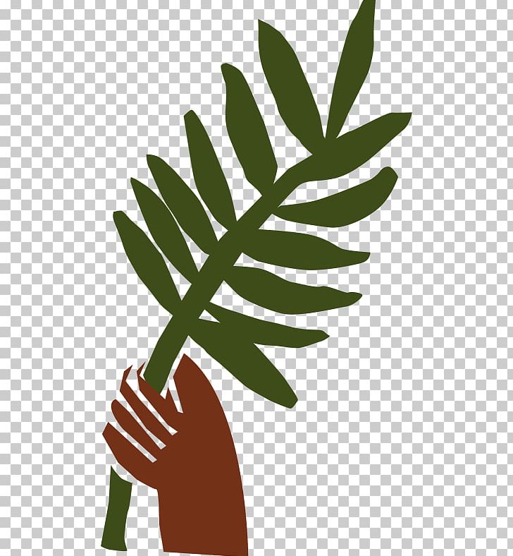 Palm Branch Palm Sunday Lds PNG, Clipart, Arecaceae, Branch, Coryphoideae, Easter Palm, Flower Free PNG Download
