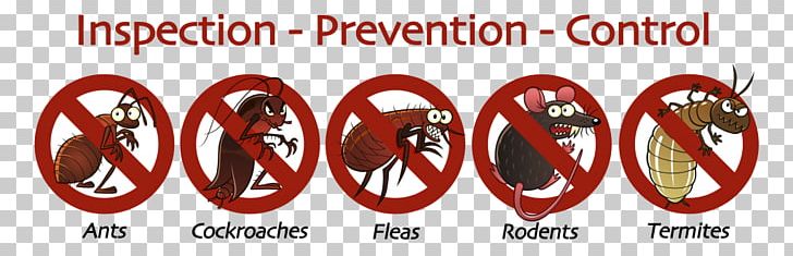 Pest Control Termite Exterminator Industry PNG, Clipart, Automotive Lighting, Brand, Business, Common Furniture Beetle, Exterminator Free PNG Download