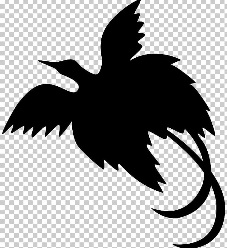 Port Moresby Western Highlands Province Hela Province Jiwaka Province Provinces Of Papua New Guinea PNG, Clipart, Beak, Bird, Black And White, Ducks Geese And Swans, Fauna Free PNG Download
