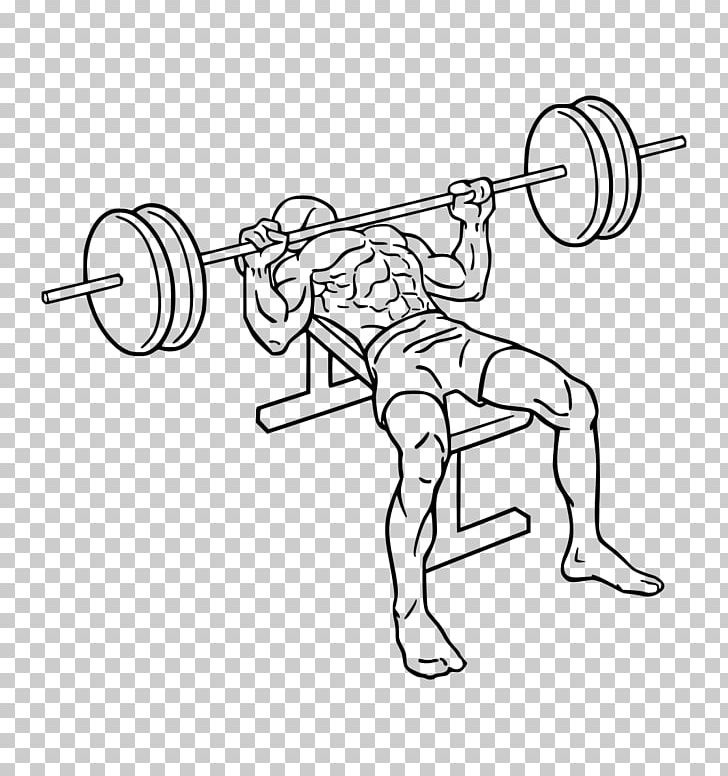 Bench Press Barbell Exercise Biceps Curl PNG, Clipart, Angle, Area, Arm, Art, Artwork Free PNG Download