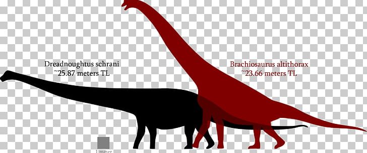 Brachiosaurus Dreadnoughtus Spinosaurus Tyrannosaurus Argentinosaurus PNG, Clipart, Animal, Argentinosaurus, Beak, Brachiosaurus, Dinosaur Free PNG Download