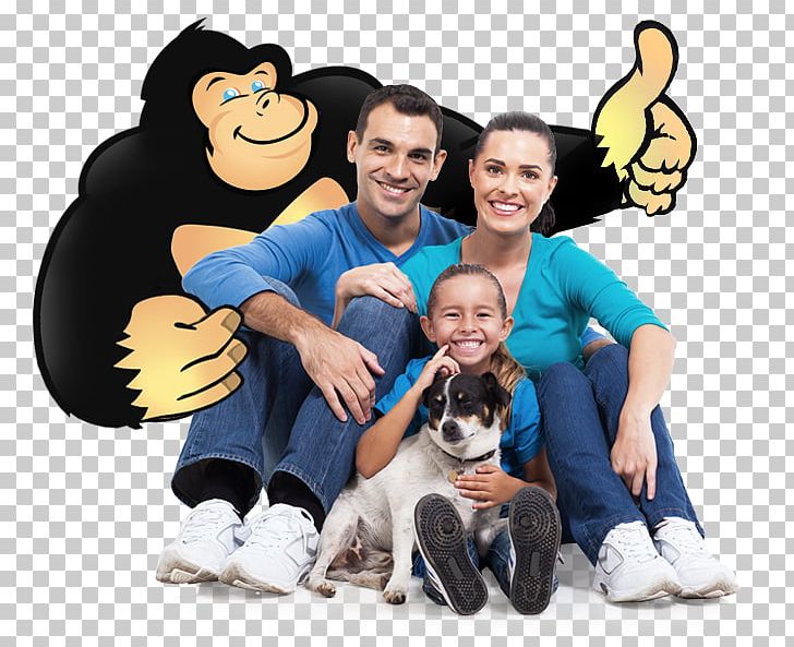 Photography Dog PNG, Clipart, Animals, Banco De Imagens, Can Stock Photo, Child, Dog Free PNG Download