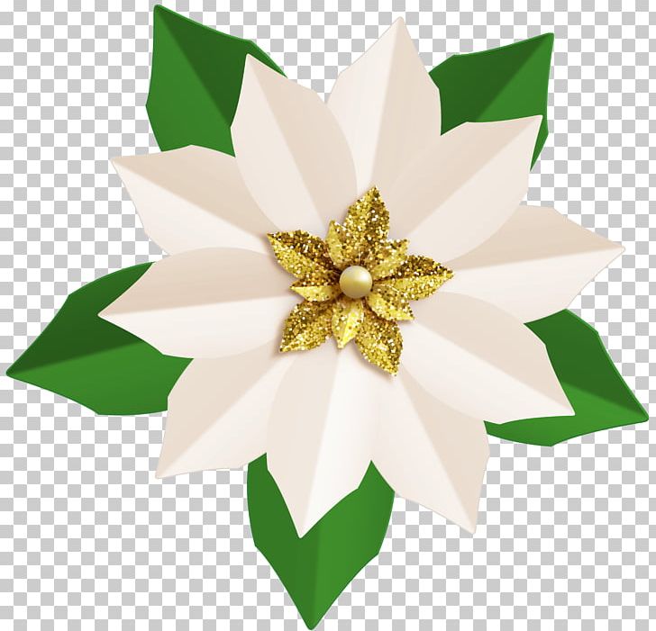 Poinsettia Flower PNG, Clipart, Art, Autumn, Candy Cane, Cartoon, Christmas Free PNG Download