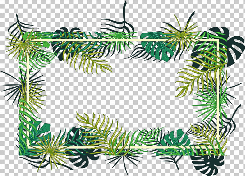 Fir Leaf Branch Lodgepole Pine Tree PNG, Clipart, Black Spruce, Branch, Douglas Fir, Eastern White Pine, Evergreen Free PNG Download