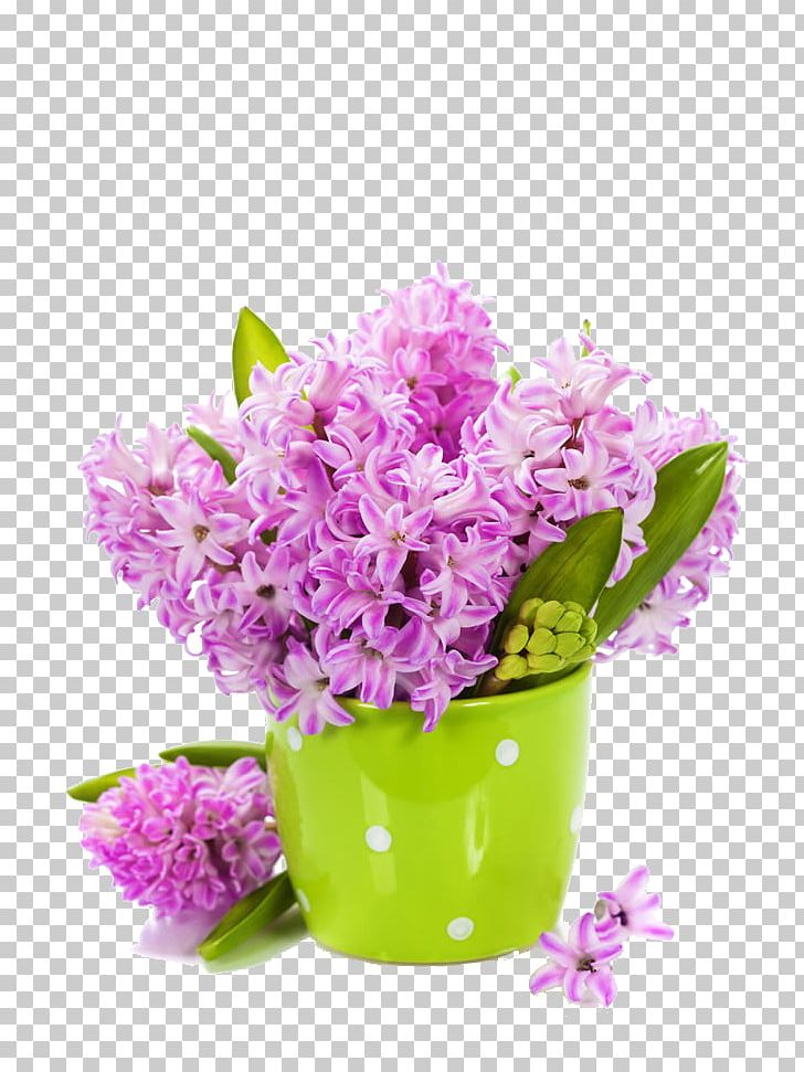 Tulip Flower Lilac Hyacinth PNG, Clipart, Artificial Flower, Blue, Flower Arranging, Flower Pot, Flowers Free PNG Download
