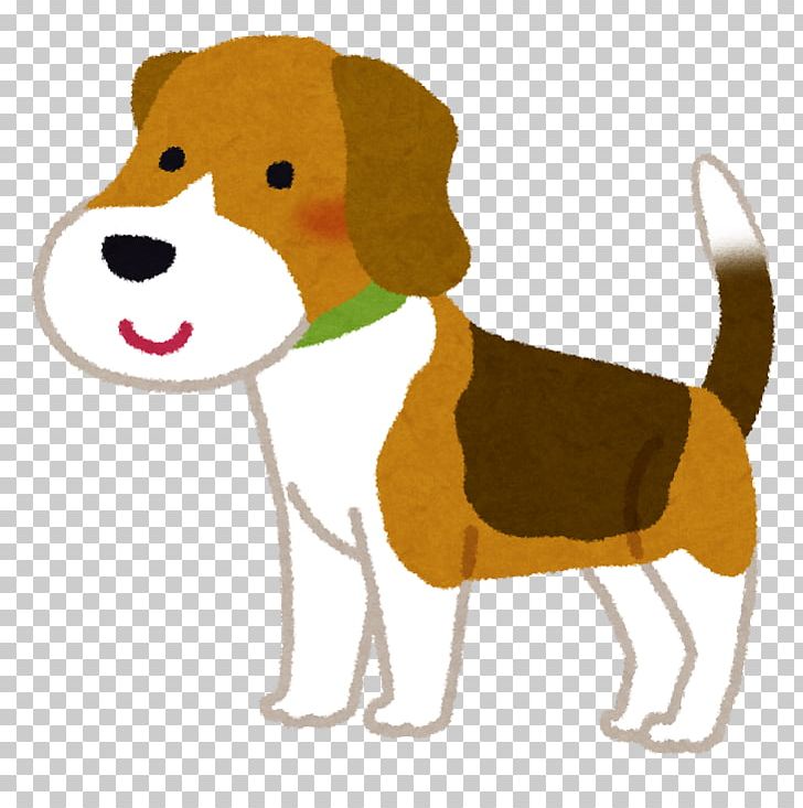 Beagle Puppy American Cocker Spaniel Shih Tzu Dog Food PNG, Clipart, American Cocker Spaniel, Beagle, Breeder, Carnivoran, Cat Free PNG Download