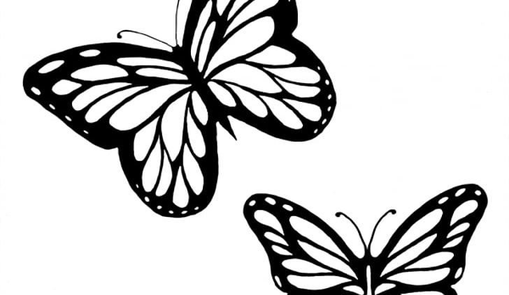 Monarch Butterfly Outline Drawing PNG, Clipart, Arthropod, Brush Footed Butterfly, Butterfly, Caterpillar, Color Free PNG Download