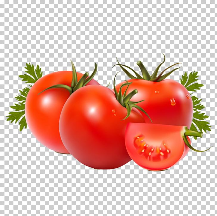 Roma Tomato Vegetable Beefsteak Tomato Fruit Food PNG, Clipart, Bush Tomato, Cherry Tomato, Diet Food, Eating, Food Drying Free PNG Download
