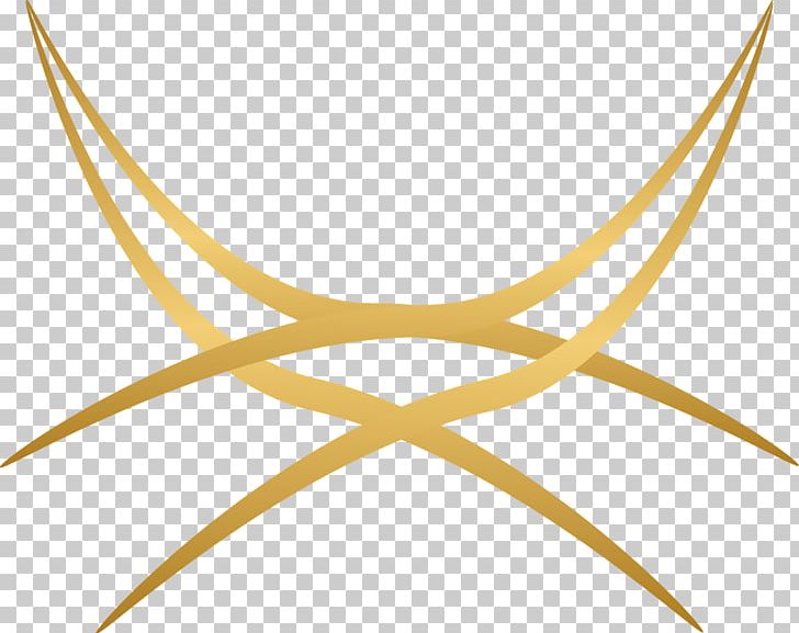 Renault Symbol Symmetry PNG, Clipart, Angle, Atom, Blog, Leaf, Line Free PNG Download