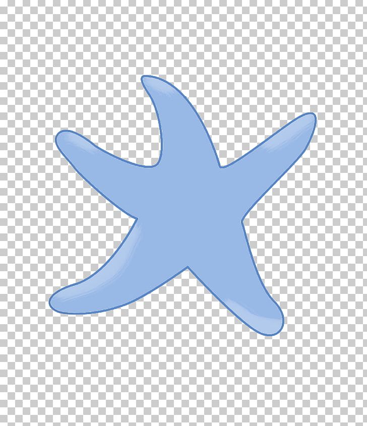 Starfish Echinoderm Marine Biology Font PNG, Clipart, Biology, Blue, Blue Abstract, Blue Background, Blue Flower Free PNG Download