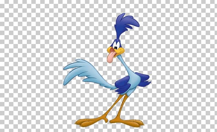 Road Runner PNG, Clipart, At The Movies, Cartoons, Road Runner Free PNG Download