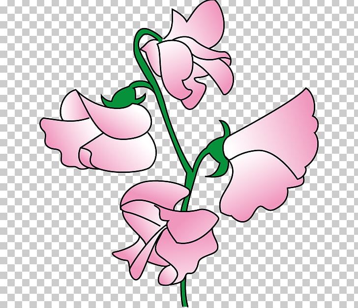 Sweet Pea Flower PNG, Clipart, Area, Art, Artwork, Bean, Butterfly Free PNG Download