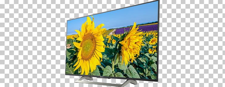 Smart TV Sony Ultra HD 4K WIFI HDR Black Bravia LED-backlit LCD 4K Resolution PNG, Clipart, 4k Resolution, Advertising, Br 2, Bravia, Display Advertising Free PNG Download