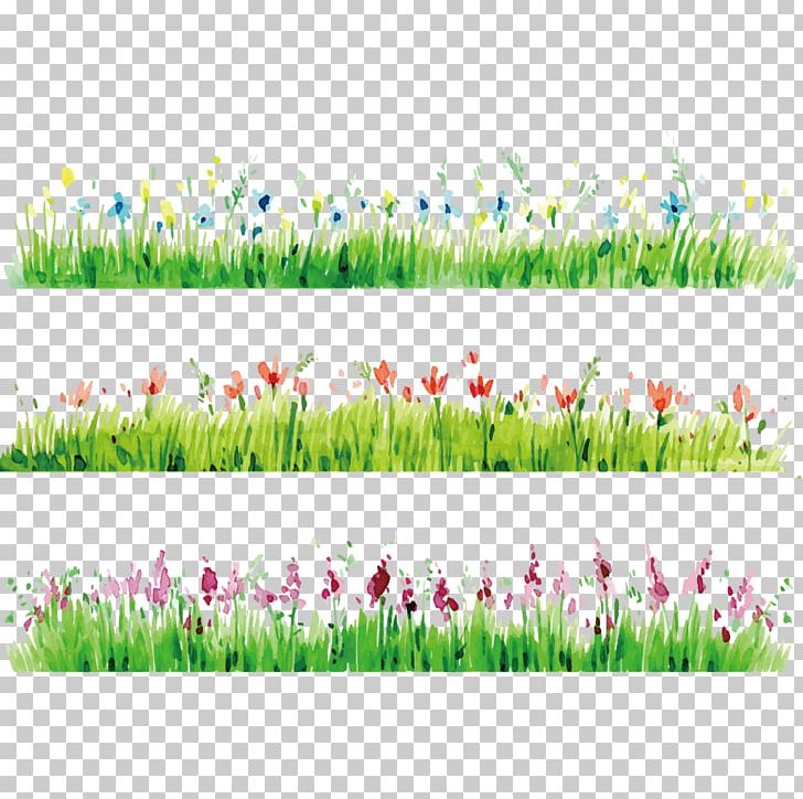 Watercolor Painting Flower Photography PNG, Clipart, Bokeh, Border, Border Frame, Border Vector, Certificate Border Free PNG Download