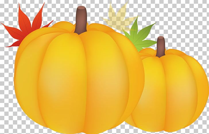 Great Pumpkin Calabaza Gourd Winter Squash PNG, Clipart, Animation, Autumn Leaves, Autumn Tree, Autumn Vector, Camera Icon Free PNG Download