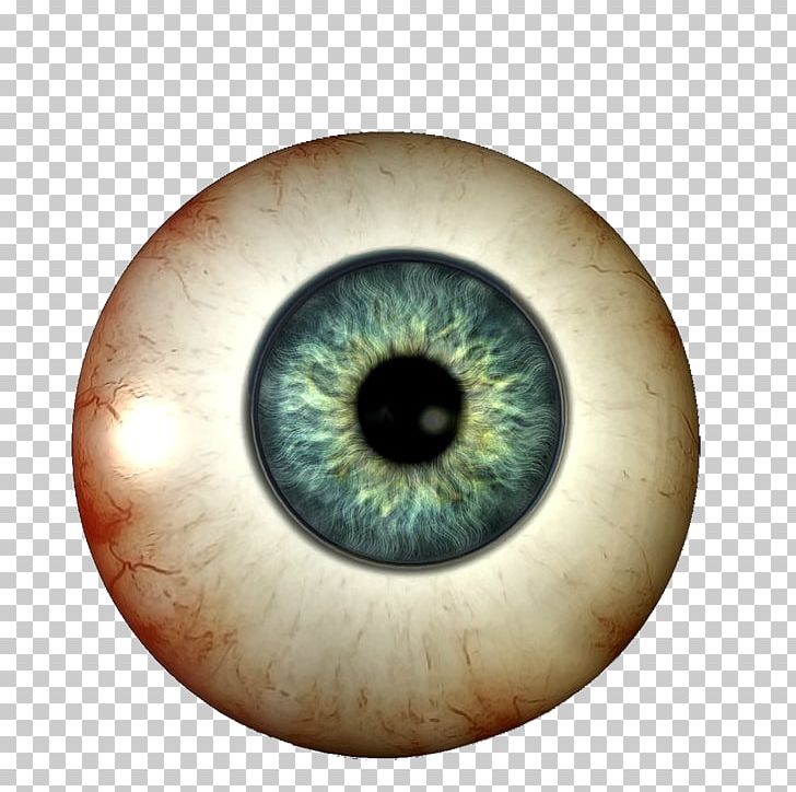 Human Eye Visual Perception Light Homo Sapiens PNG, Clipart, Cataract, Cataract Surgery, Circle, Closeup, Color Free PNG Download