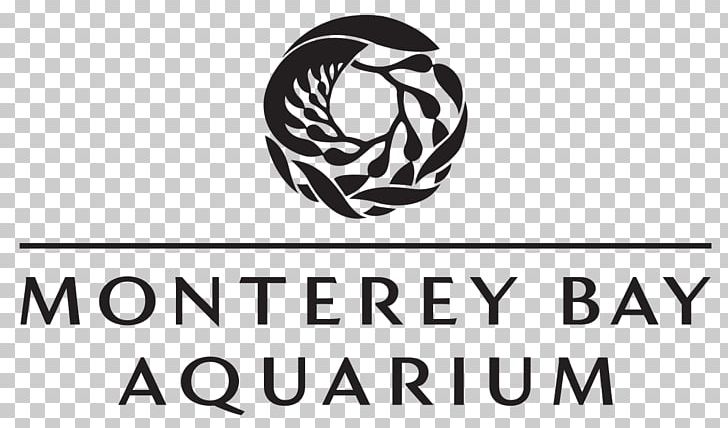 Monterey Bay Aquarium Cannery Row Aquarium Of The Pacific White Shark Café PNG, Clipart, Animals, Aquarium, Aquarium Of The Pacific, Bay, Black And White Free PNG Download