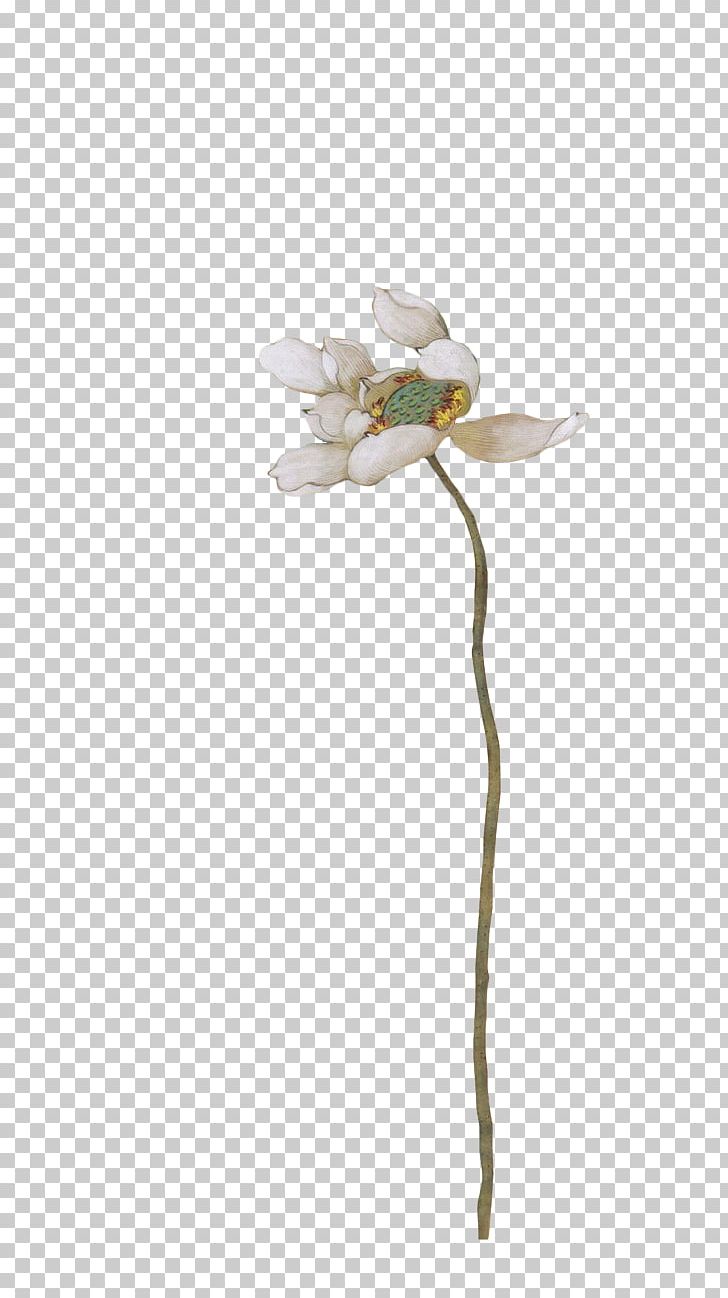 Flower PNG, Clipart, Decoration, Flower, Hand, Hand Drawn, Hand Painted Free PNG Download