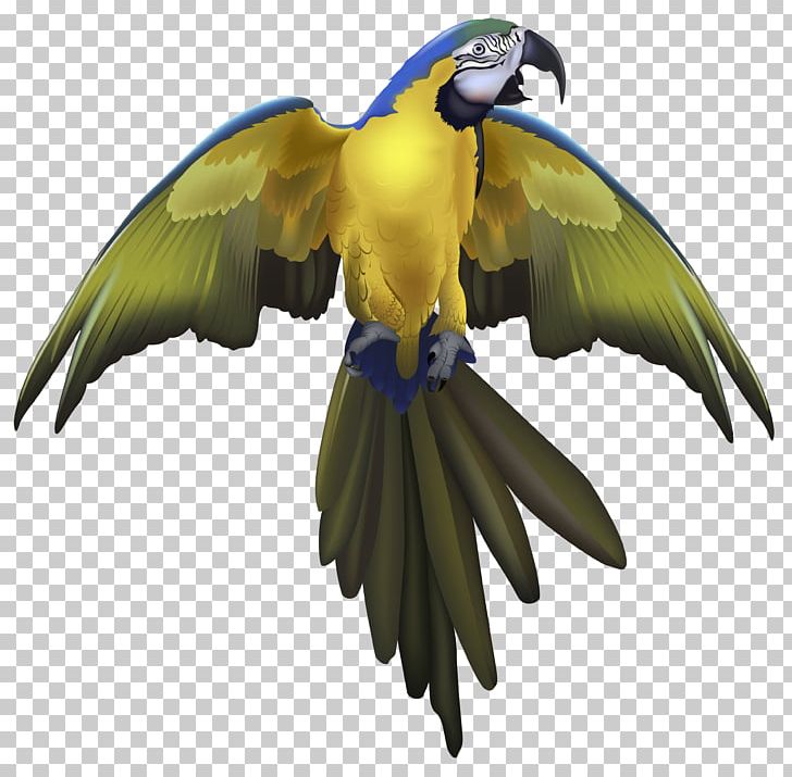 Parrot Bird Rose-ringed Parakeet Yellow-headed Amazon PNG, Clipart, Amazon Parrot, Beak, Bird, Birds, Clipart Free PNG Download