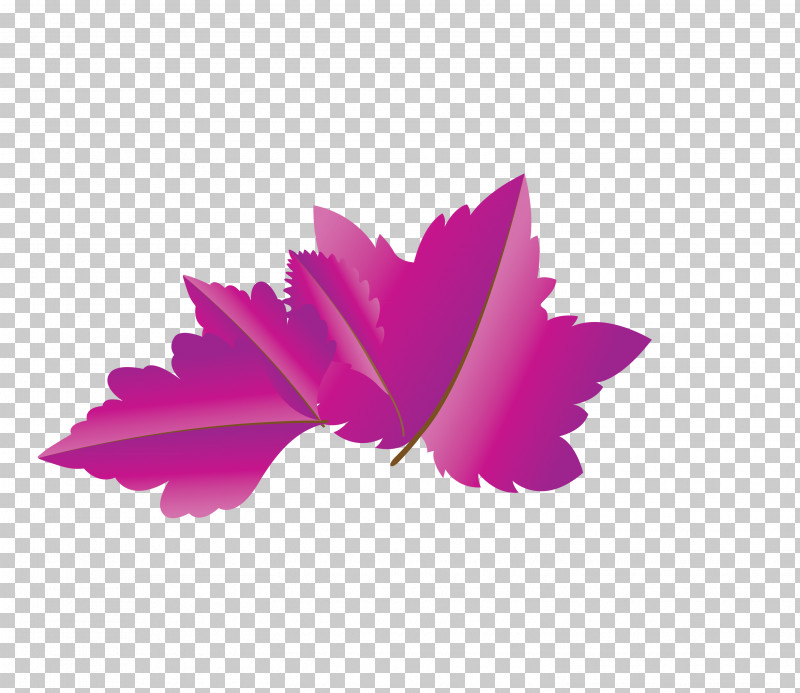 Petal Leaf M-tree Magenta Telekom Tree PNG, Clipart, Autumn Leaf, Biology, Cartoon Leaf, Fall Leaf, Flower Free PNG Download