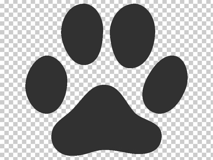 American Black Bear Paw Bear Claw PNG, Clipart, American Black Bear, Animals, Bear, Bear Claw, Bear Paw Free PNG Download