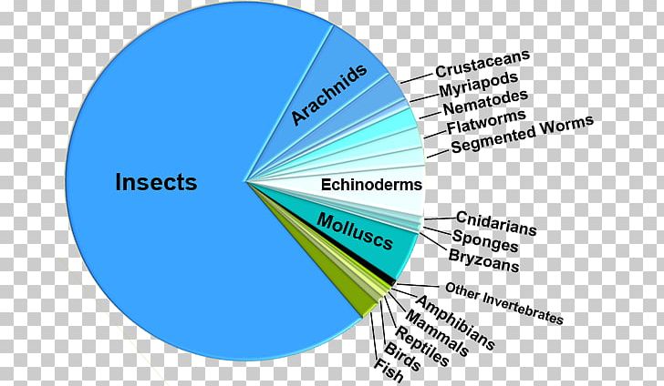 Pie Chart Insect Biology Species Diversity PNG, Clipart, Angle, Animal