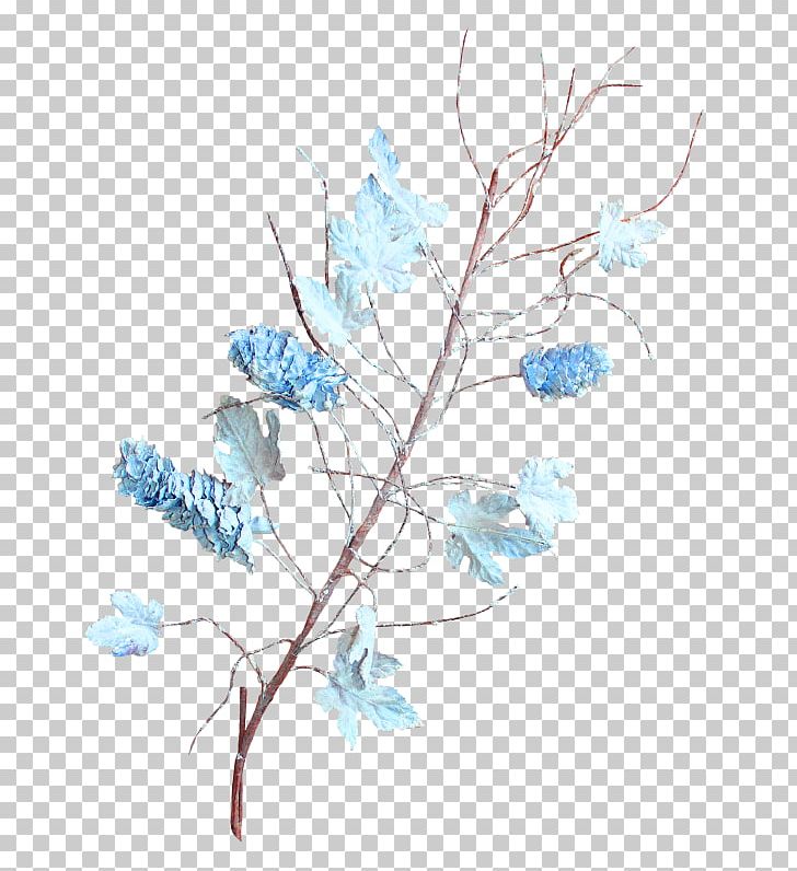 Twig Floral Design Desktop Plant Stem Flower PNG, Clipart, Art, Bean, Blossom, Blue, Branch Free PNG Download