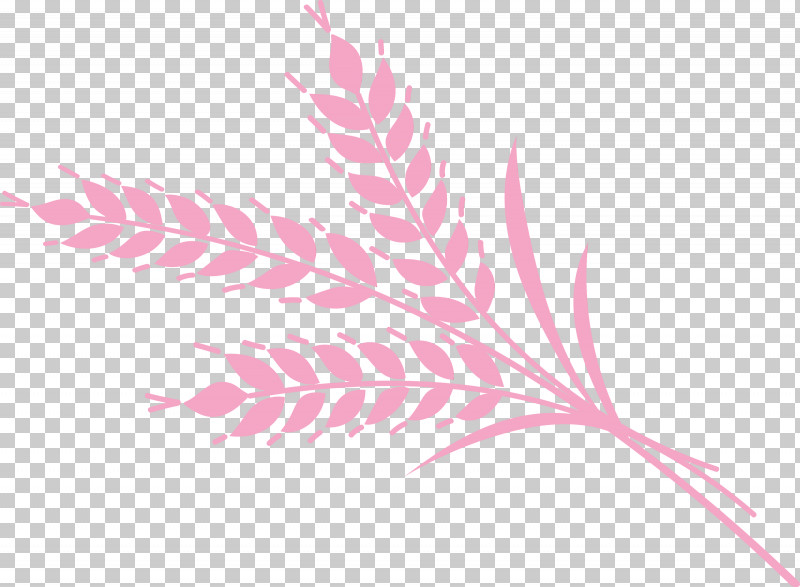 Grasses Leaf M-tree Pink M Font PNG, Clipart, Biology, Flower, Grasses, Leaf, Line Free PNG Download