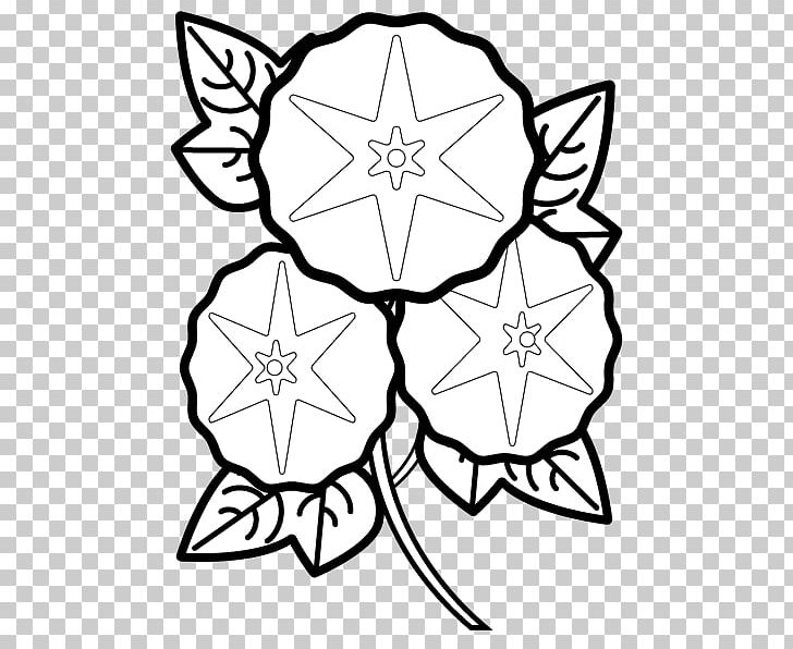 Floral Design Japanese Morning Glory Coloring Book Illustration Black And White PNG, Clipart, Angle, Area, Artwork, Black, Black And White Free PNG Download