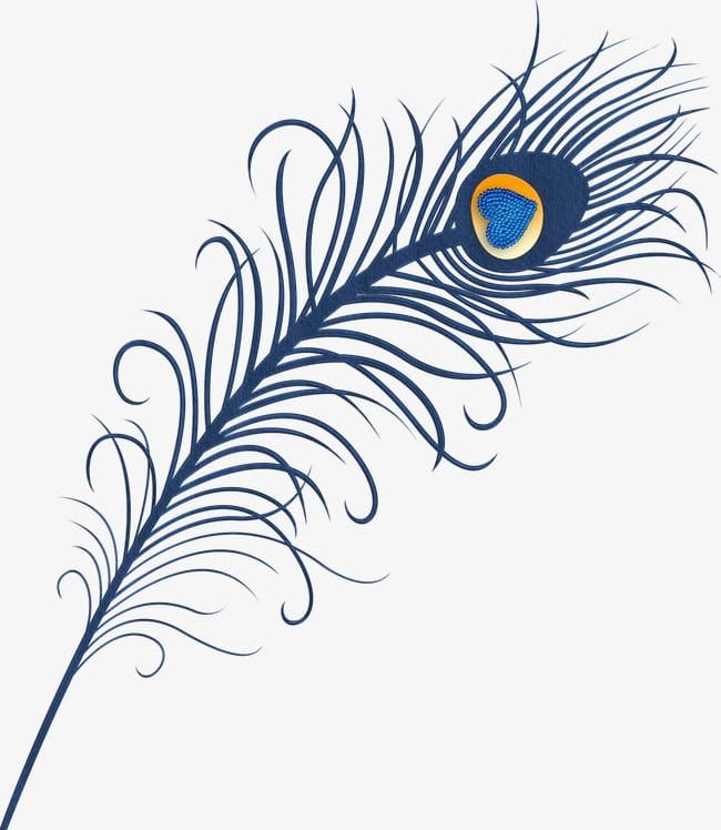 Love Peacock Feathers PNG, Clipart, Animal, Feathers Clipart, Hair, Love Clipart, Peacock Clipart Free PNG Download