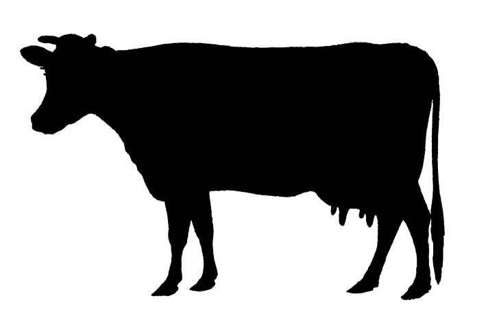 Soy Milk Almond Milk Cattle Rice Milk PNG, Clipart, Almond Milk, Black And White, Bull, Cattle, Cattle Like Mammal Free PNG Download