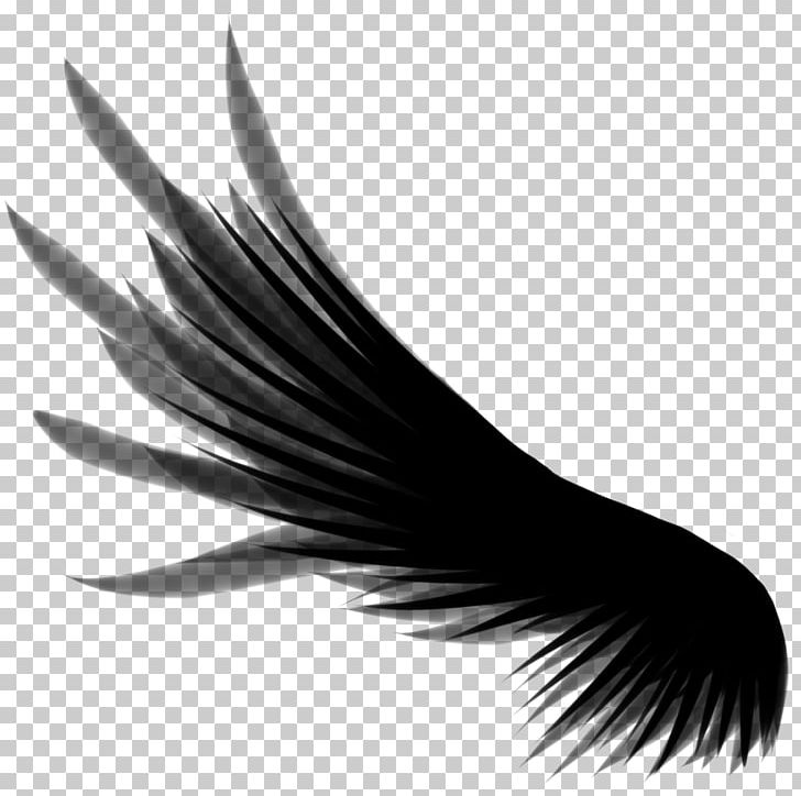 Computer Icons PNG, Clipart, Angel, Angel Wings, Beak, Black And White, Brush Free PNG Download