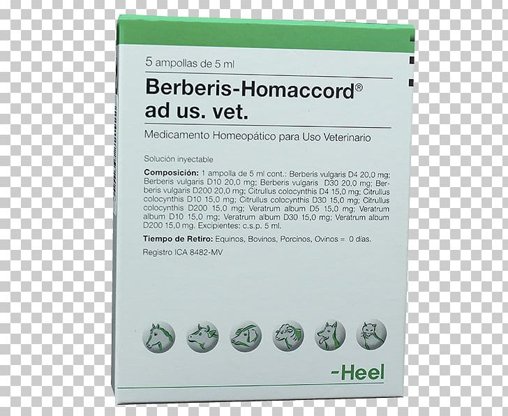 Stimulation Disease Homeopathy Pharmaceutical Drug Heel PNG, Clipart, Barberry, Battery, Bronchitis, Coenzyme, Disease Free PNG Download