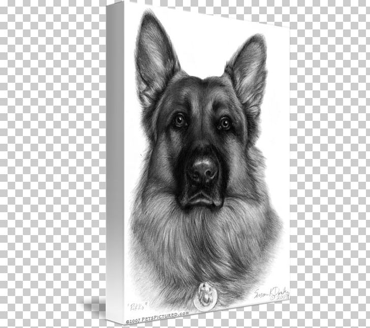 German Shepherd Puppy Drawing Graphite Portrait PNG, Clipart, Art, Black And White, Carnivoran, Dog, Dog Breed Free PNG Download