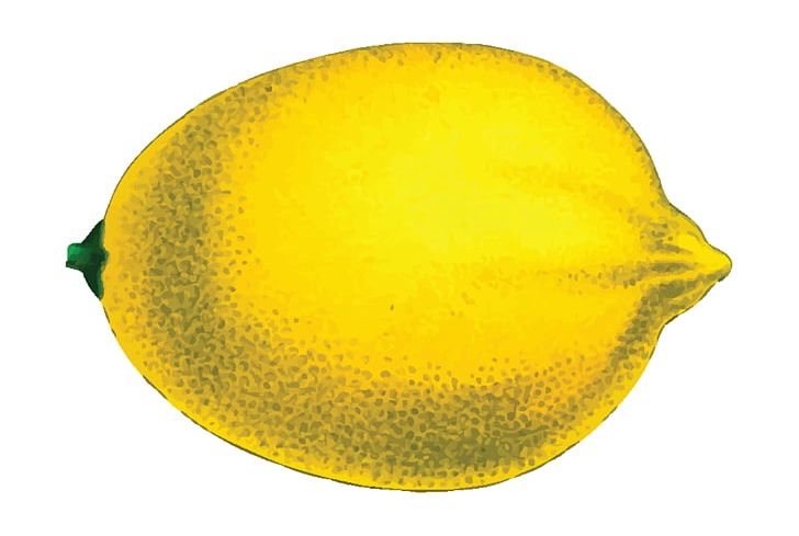 Lemon Fruit PNG, Clipart, Cdr, Citric Acid, Citron, Citrus, Drawing Free PNG Download