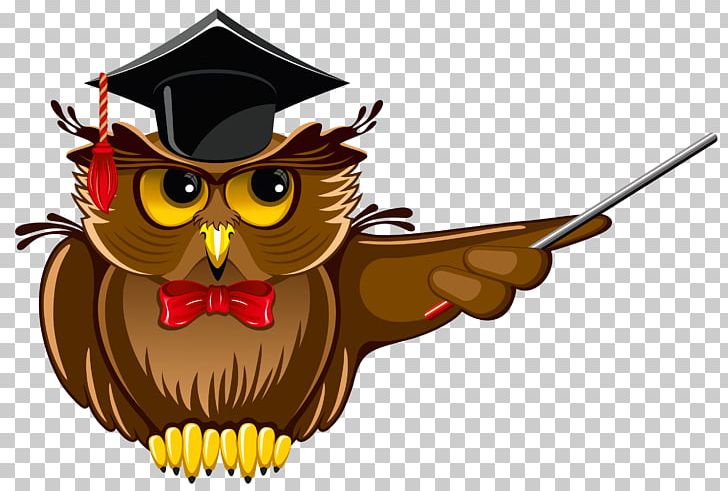 Owl Teacher Education PNG, Clipart, Animals, Apng, Beak, Bird, Bird Of Prey Free PNG Download