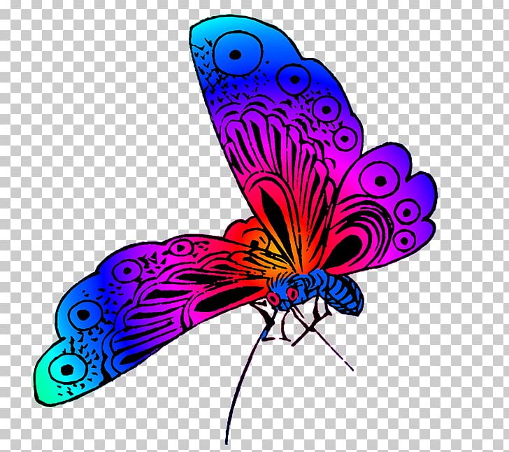 Butterfly Color PNG, Clipart, Arthropod, Brush Footed Butterfly, Butt, Butterfly, Color Free PNG Download