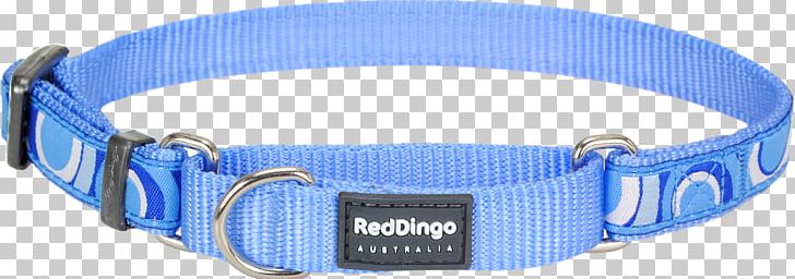 Dingo Dog Collar Martingale American Bully PNG, Clipart, American Bully, Blue, Blue Mc, Buckle, Choker Free PNG Download
