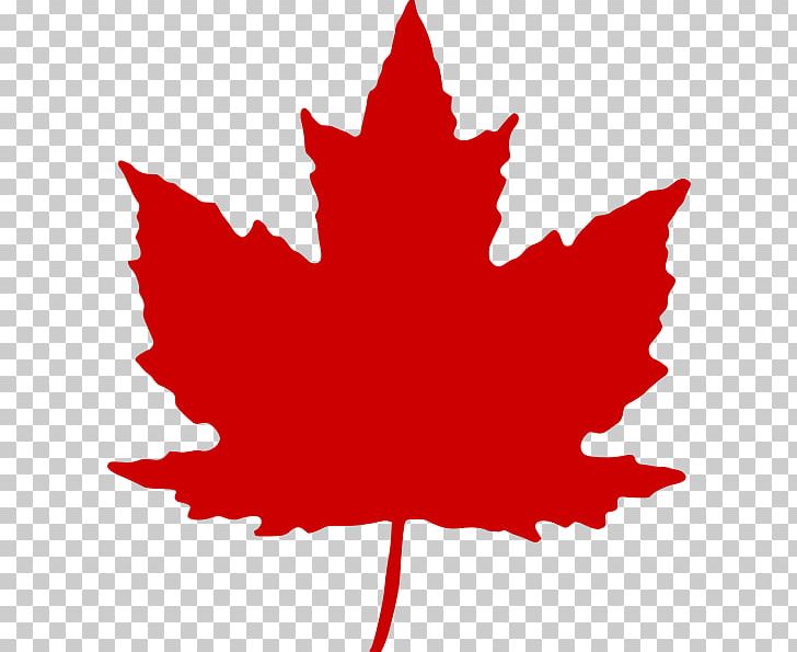 Maple Leaf Canada PNG, Clipart, Autumn Leaf Color, Canada, Canadian Silver Maple Leaf, Clip Art, Color Free PNG Download