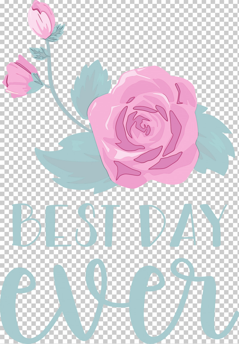 Garden Roses PNG, Clipart, Best Day Ever, Drawing, Flower, Garden, Garden Roses Free PNG Download