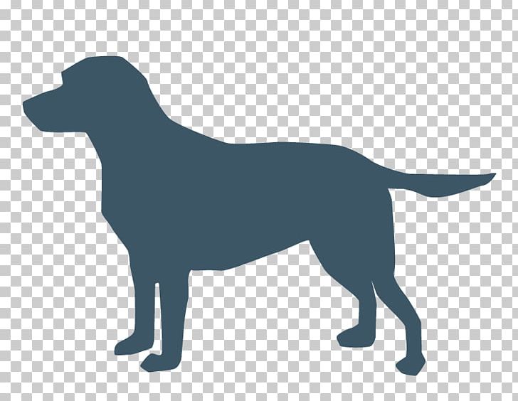 American Pit Bull Terrier Chow Chow Dog Collar Computer Icons PNG, Clipart, American Pit Bull Terrier, Black, Carnivoran, Chow Chow, Collar Free PNG Download