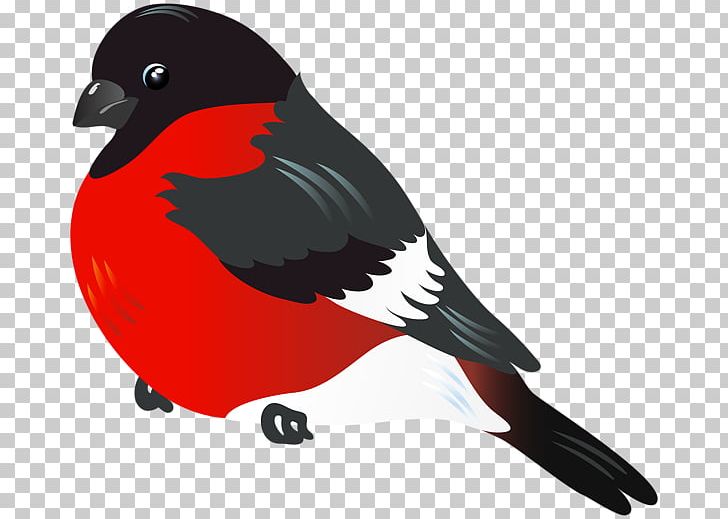 Bird Parrot Northern Cardinal PNG, Clipart, Animals, Beak, Bird, Bird Clipart, Blog Free PNG Download