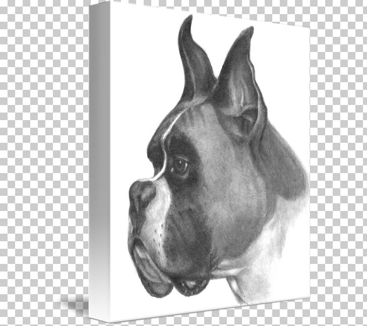 Boxer Dog Breed Drawing Dogs Sketch PNG, Clipart, Art, Black And White, Boxer, Boxer Dog, Breed Free PNG Download